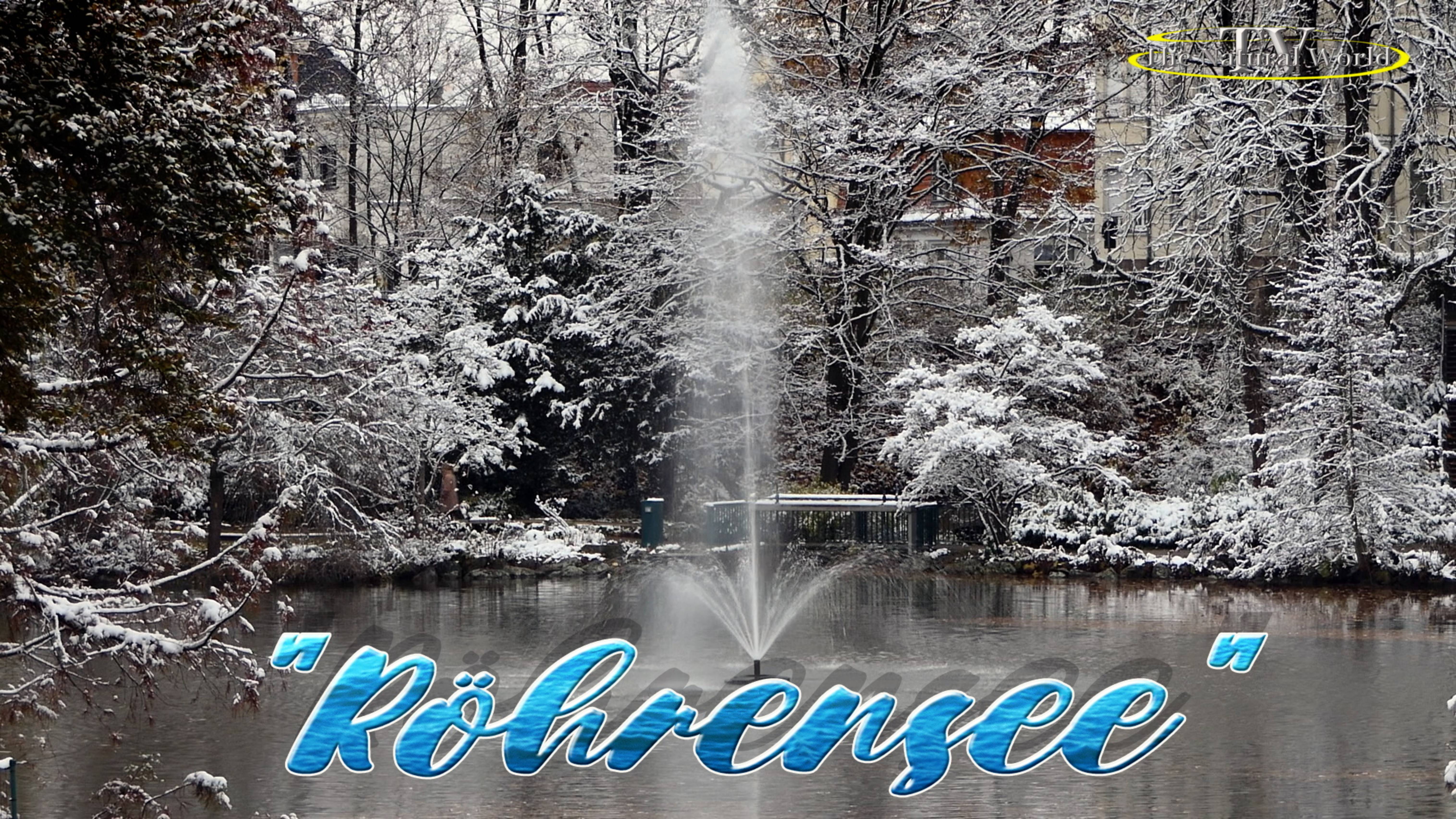 ❄️"БЕЛАЯ ВЬЮГА"❄️🌲🌲🌲Супер песня! /Юлия Альбах и Дмитрий Мазур/ "The Natural World" (Мир Природы)
