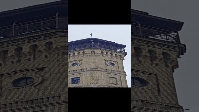 Музыкант-пожарный на пожарной каланче в Гродно