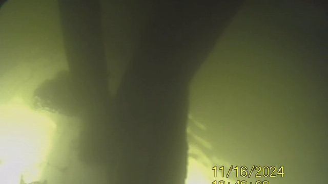 1000032608.mp4Волга гл.4м.16.11.2024г.