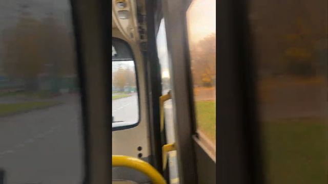 A bus ride with autumn landscapes passing by, creating a cozy and peaceful atmosphere
