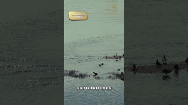 Маяковский Новосибирск