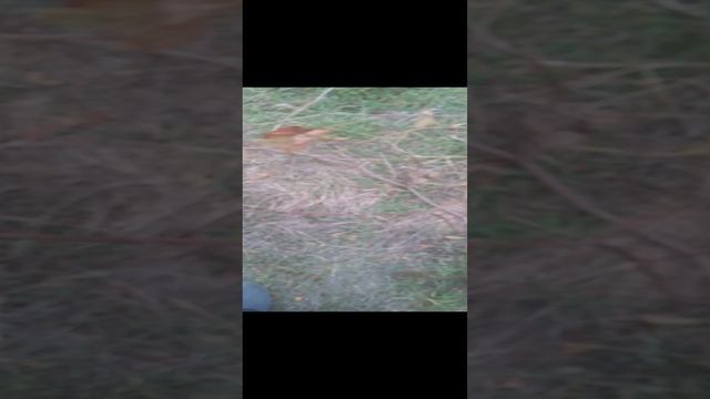 VID_20241116_160148