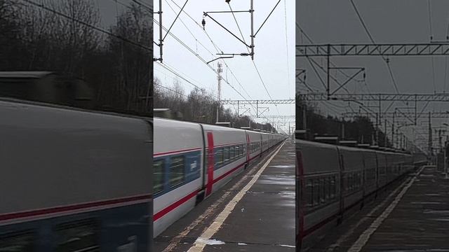 Электровоз ЭП20-003 (ТЧЭ-6) со скоростным поездом Talgo 250 "Стриж" №703Н Нижний Новгород - Москва.