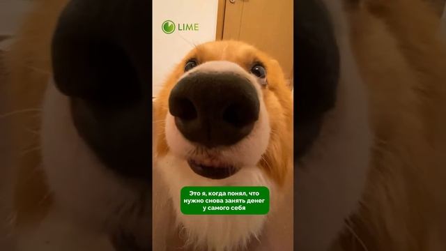 Знакомая ситуация? 😂
