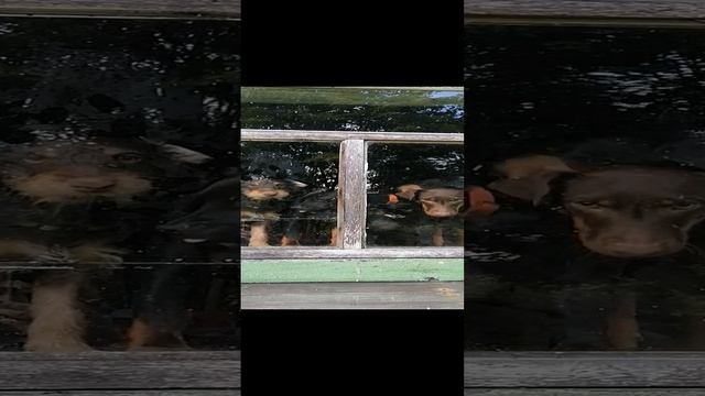 1000022084.mp4