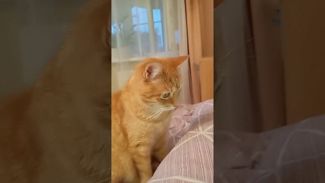 1000000860.mp4