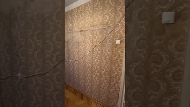 Комната20мСокол