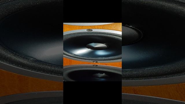 acoustic Energy Aelite three 🍒