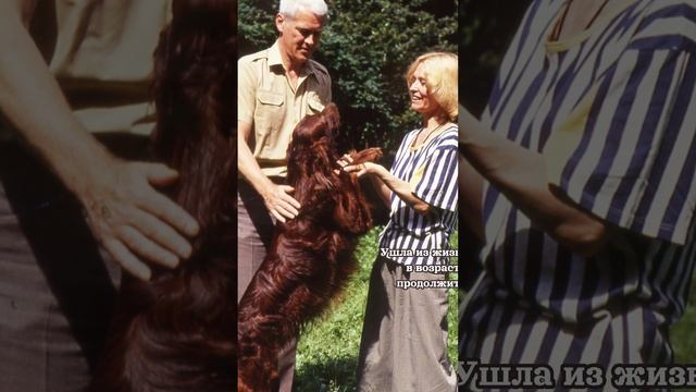 Ушла из жизни Светлана Светличная🙏#актриса#кино#shorts