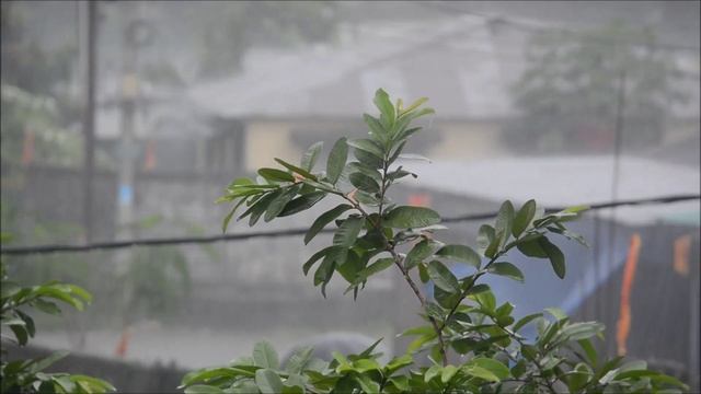 Я уже не с тобой.Стихи и Муз импровизации Л Оболенской.