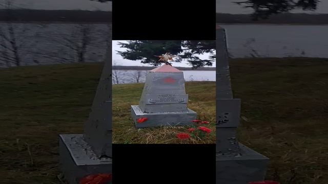 1000010638.mp4