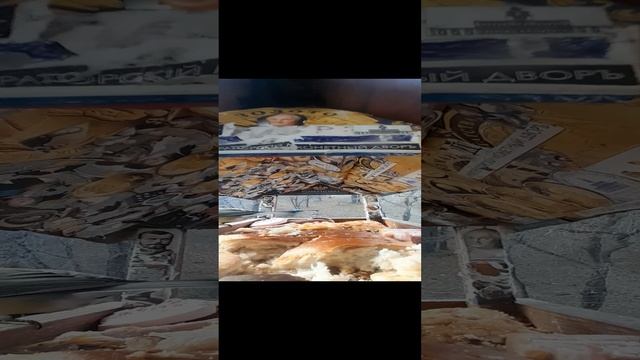 1000032626.mp4кормушка за окном.16.11.2024г.