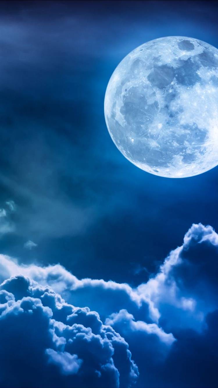 ♊♎♒  ПРОГНОЗ ДЛЯ БЛИЗНЕЦОВ, ВЕСОВ И ВОДОЛЕЯ НА ПОЛНОЛУНИЕ В ТЕЛЬЦЕ⭐ Контакты floransia@yandex.ru
