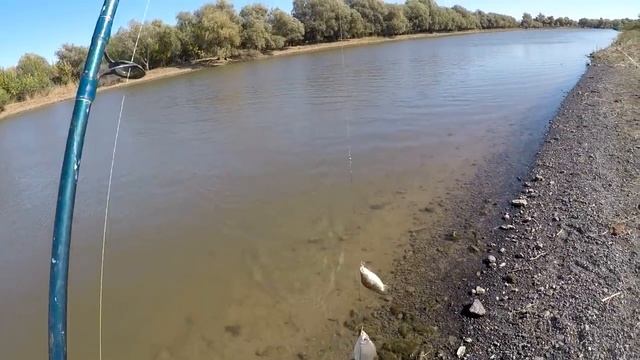 Рыбалка и тихая охота в Астраханской области 2018. Ловля карася.