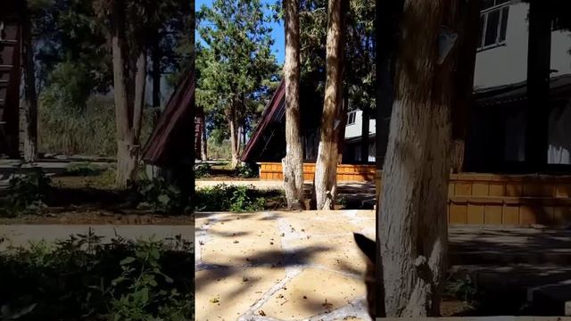 Добро пожаловать в Семейный парк "Озеро"!