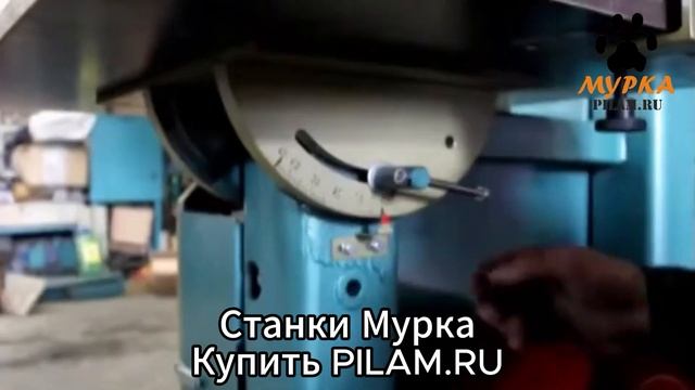 Мурка Вертикальный ленточнопильный станок AVG ЛС-50 Vertical band saw machine AVG LS-50 pilam.ru