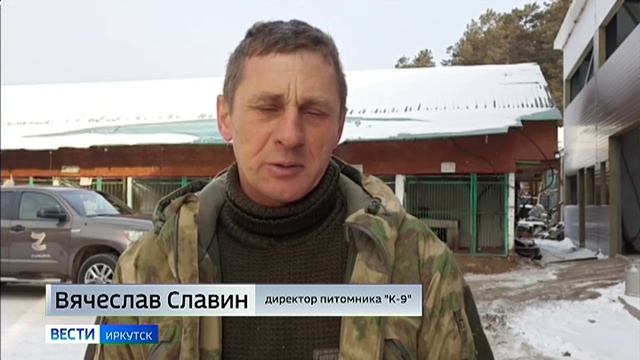 Львица Лада из иркутского питомника К-9 полетела в зоопарк ДНР