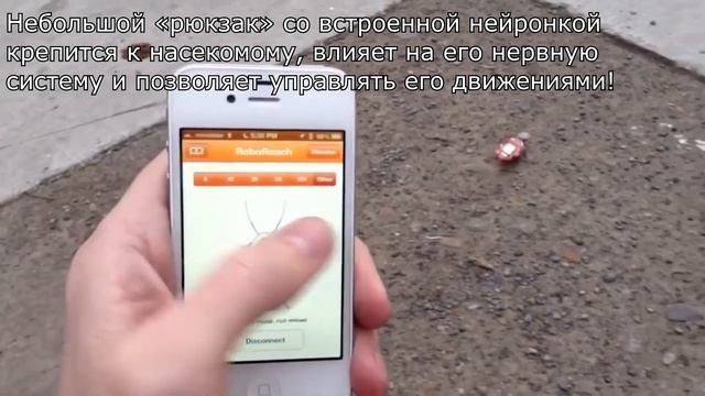 Cyber-таракан, Нейро-таракан