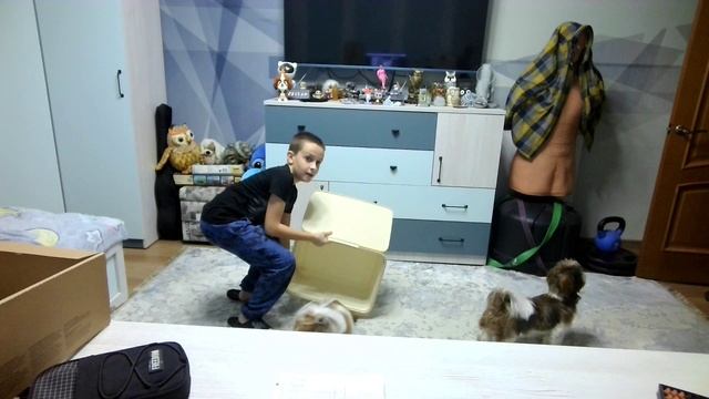 исчезновение