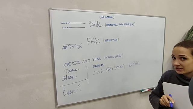 Разбор задачи 3
