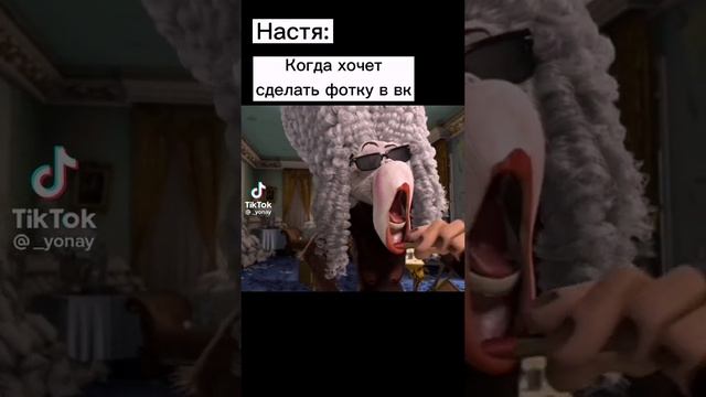 настя чек