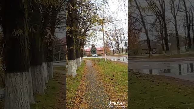 1000050050.mp4