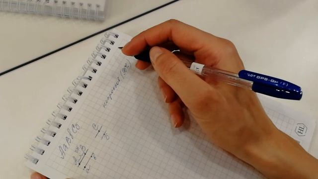 Образование гамет 3