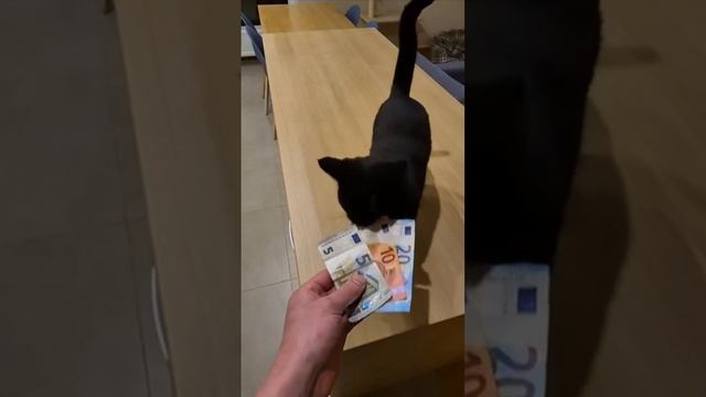 За всё надо платить! scene_output.mp4