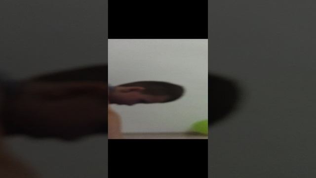 VID_20241116_192301.mp4