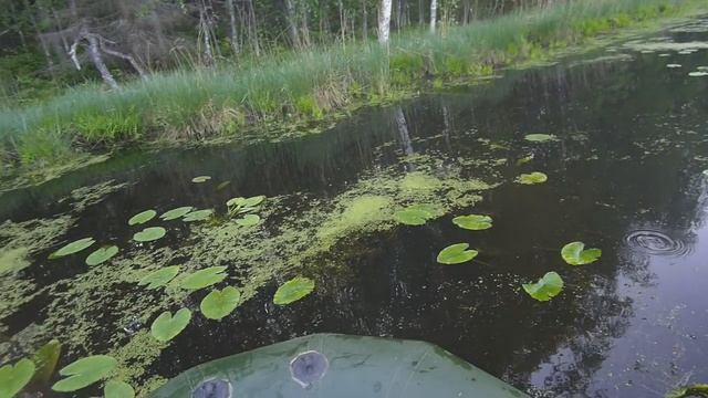 Рыбалка двумя способами на мелком озере