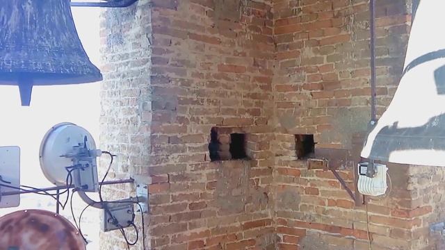 Le ore e quarti dalla torre civica di Potenza Picena