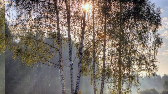 Полет сердец