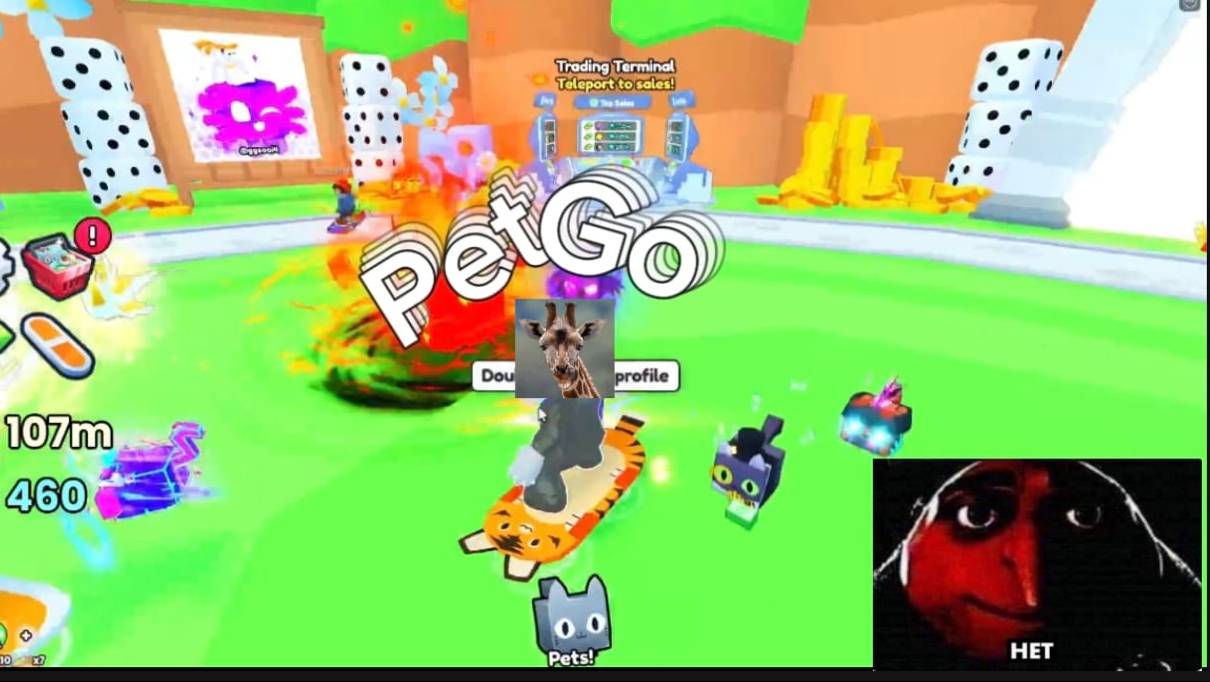 Pet Go. 8 000 000 за 300 гемов! Паркур!