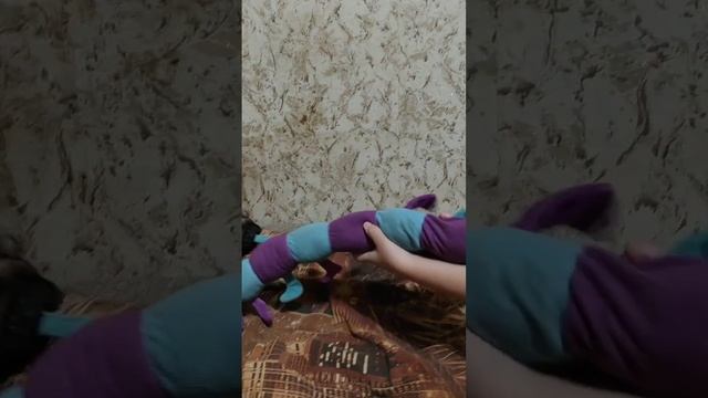 Мопс с игрушкой 🐶