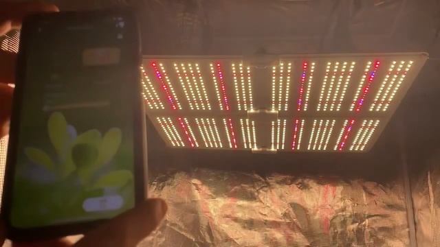 Awesome Smart Led Grow Light GL4000s/450W, Here is how to use her