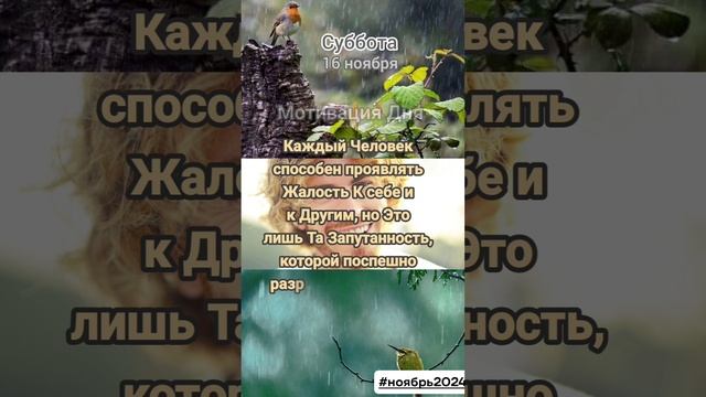 Суббота • 16 ноября
Мотивация Дня 
ЭкстрасенС Алексей Надажить