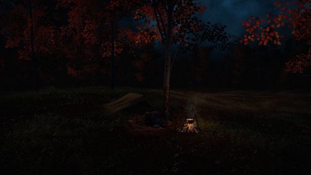 Игра Stalker Online -STAY OUT Палатка, костер.