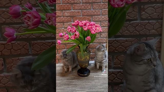 Ценители прекрасного…🥰🥰🥰