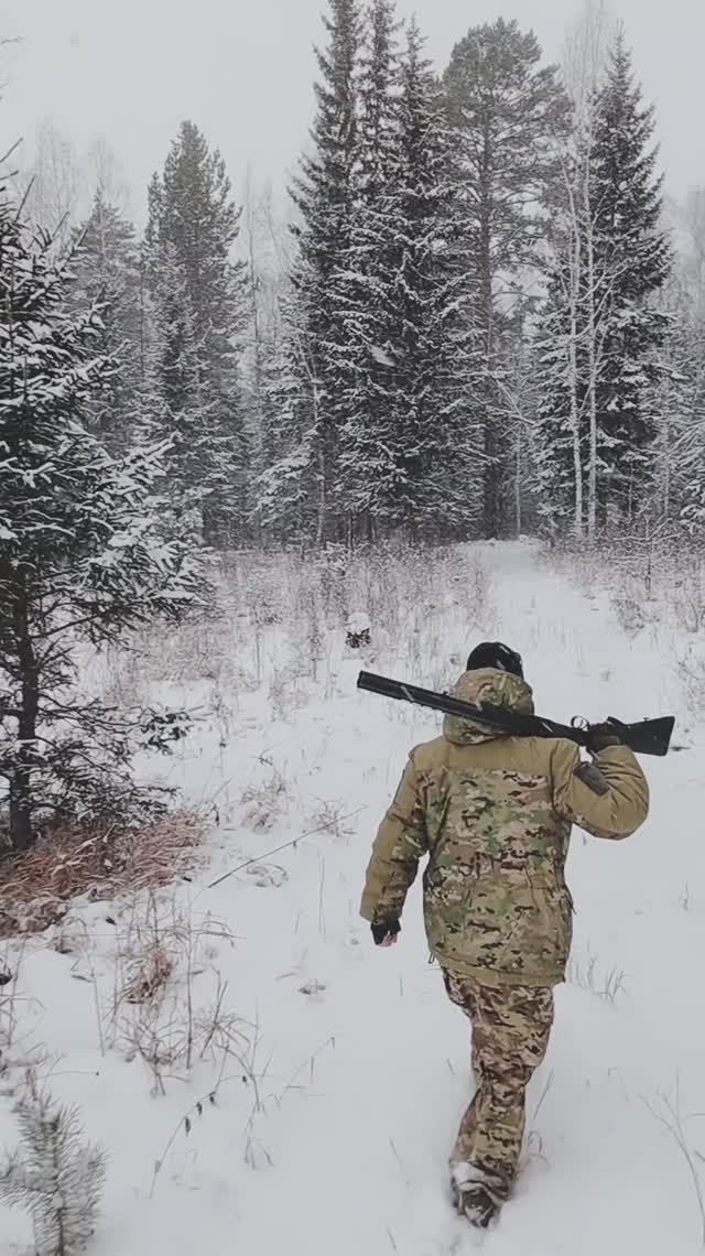 Лесная прогулка по зимнему лесу.