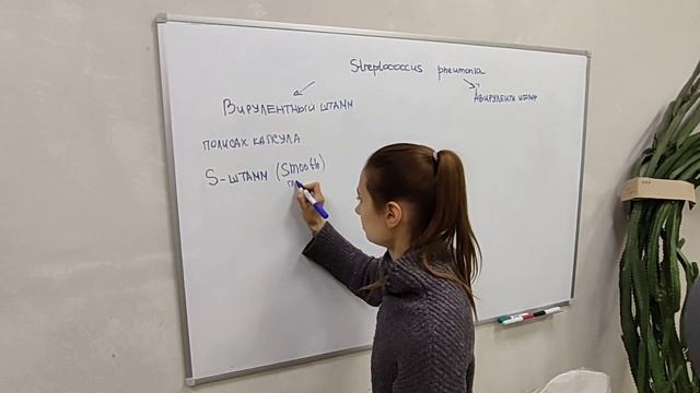 Трансформация