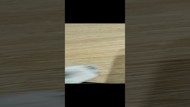 VID_20241116_001523.mp4