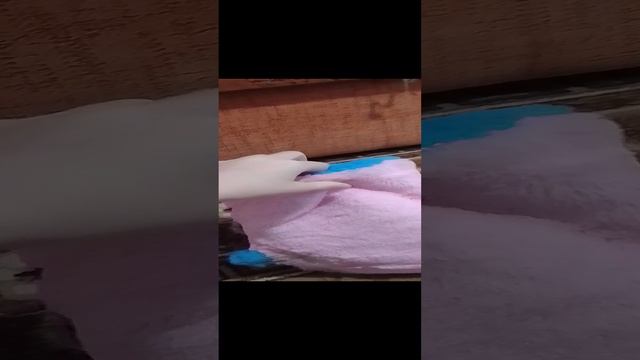 Смотрите стё кюпили