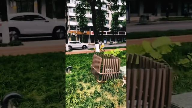 Прогулки по Чэнду #chengdu #china #russia