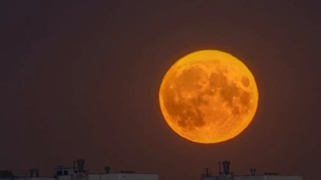 Бобровая Луна взойдет в небе сегодня ночью — это последние Суперлуние в году!