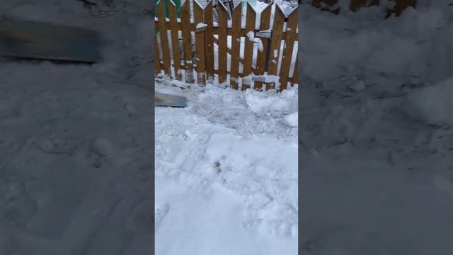 ДЦП не приговор ИЛИ движение ЖИЗНЬ