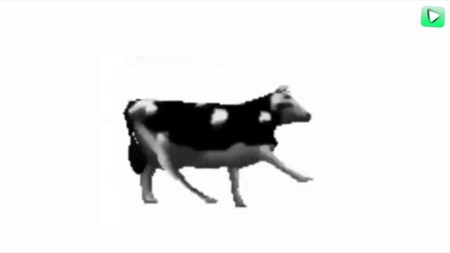 подписывайтесь