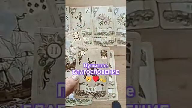 Кошачье подтверждение истины расклада))))