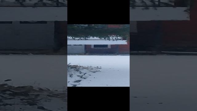 психиатрическая заброшенная больница