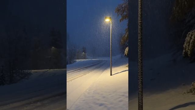 снежная ночь