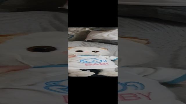 20241116_150113.mp4